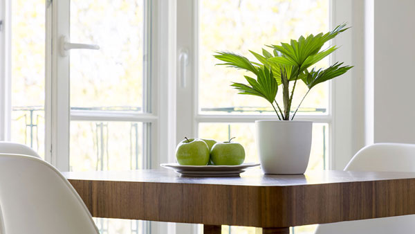 window, Hamburg | SLC, Rülzheim